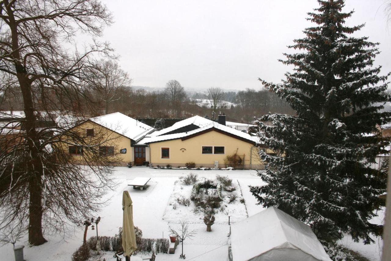 Villa Goeltzschtalblick Netzschkau Eksteriør bilde